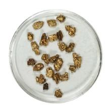 Gold Nuggets 3.73 Grams Total Weight