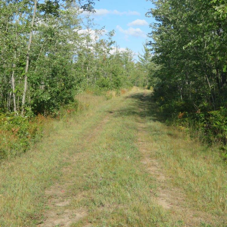 Property #2 27 Acres Woods On CR 491