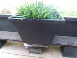 Artificial plants in Resin Planter, Cement bricks and board stand included