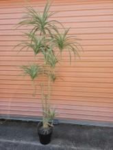 Realistic looking artificial spider plant tree