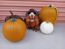 SMALL GROUP OF HARVEST THANKSGIVING PUMPKINS AND TURKEY DECOR