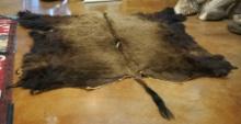 Soft Tanned Fully Mature American Bison Backskin Taxidermy