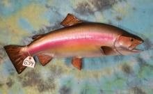 Brand New 29 1/2" Monster Rainbow Trout Fiberglass Reproduction Taxidermy Fish Mount