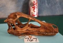 High Quality Velociraptor Skull Fiberglass Reproduction