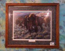 American Bison Framed Print called "Prairie Thunder" by Cynthia Fisher