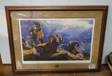 Rocky Mountain Bighorn Rams Framed Print called "Bighorn Break" produced by the NRA