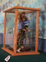 Full Body Baby Fox with Butterflies in Glass Display Case Taxidermy Novelty Mount