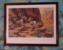 Framed Desert Bighorn Sheep Print "One hundred ten in the Shade" by Ken Carlson