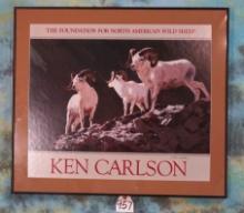 Framed Print if Three Dall Sheep Rams from the North American Wild Sheep Foundation