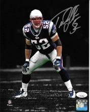 Ted Johnson New England Patriots Autographed 8x10 Photo JSA W coa