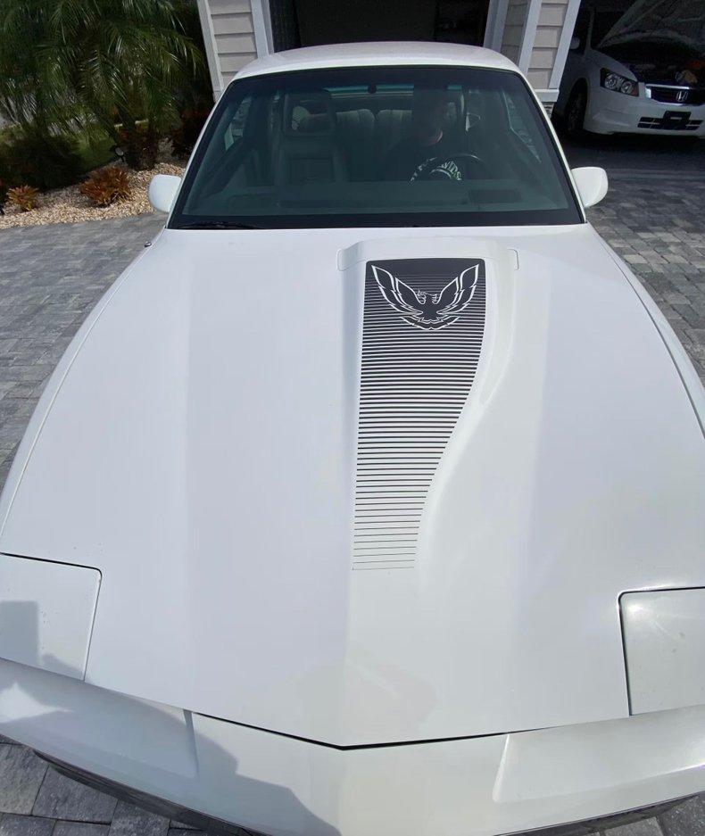 1983 Pontiac Trans Am Pace Car