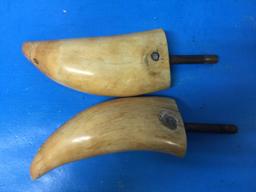 Pair of Antique Ivory Sperm Whale Teeth - Each about 6" Long - Very Nice - Perfect for Scrimshaw
