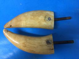 Pair of Antique Ivory Sperm Whale Teeth - Each about 6" Long - Very Nice - Perfect for Scrimshaw