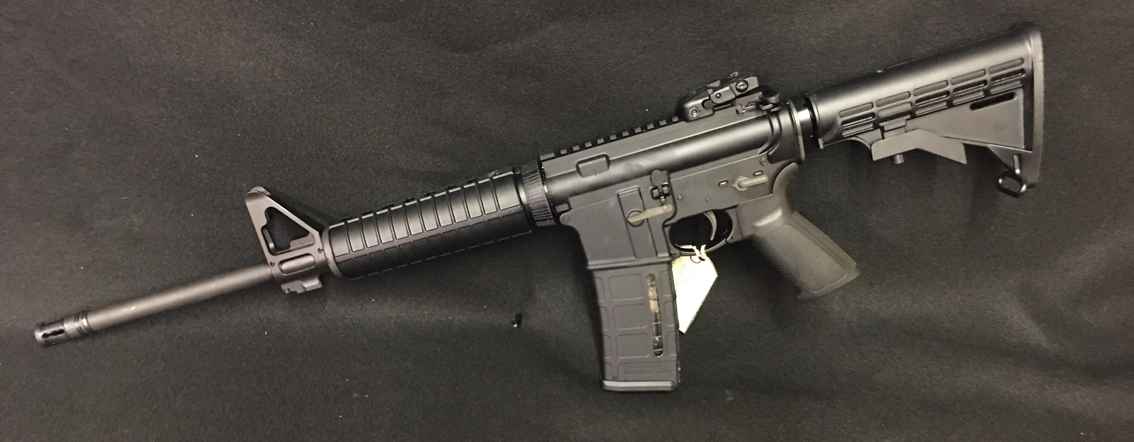 Ruger AR-556 w/PMAG