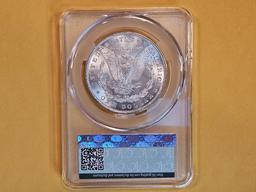 CAC! CAC-graded 1884 Morgan Dollar in Mint State 62