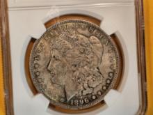 NGC 1896 Morgan Dollar in Mint State 64