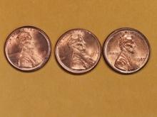 ERRORS! Three Choice Brilliant Uncirculated RED Lincoln Cents