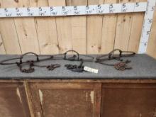 3 Newhouse #48 Double Longspring Traps With Teeth