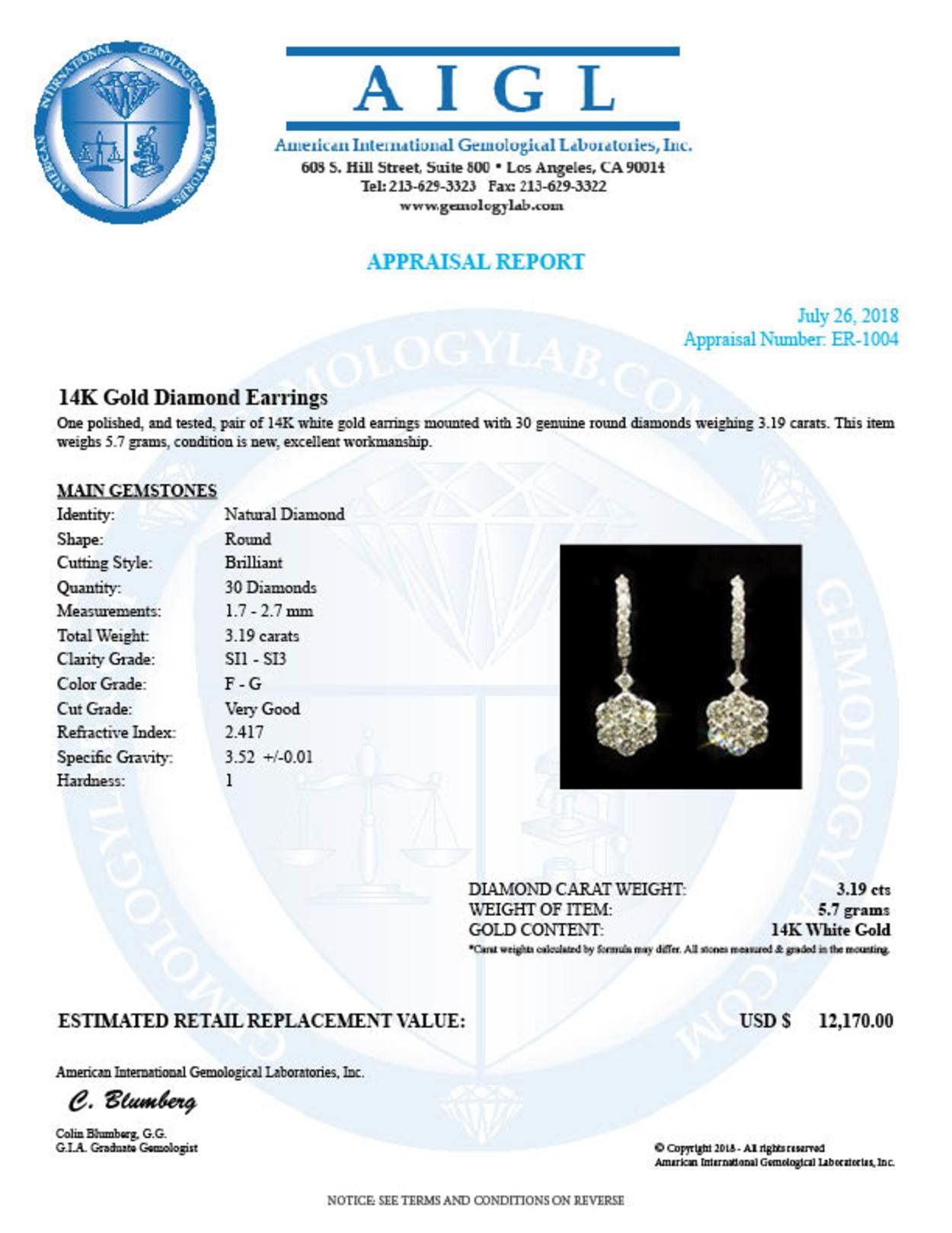 14k Gold 3.19ct Diamond Earrings