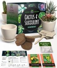 HOME GROWN Succulent & Cactus Seed Kit for Planting, $29.99 MSRP
