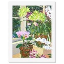 Orchids and Sunlight by Powell, John