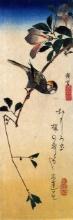 Hiroshige Java Sparrow and Magnolia