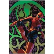 Amazing Spider-Man #524 by Marvel Comics
