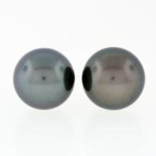 Simple Classic 18k Gold Large 10.75mm Round Gray Tahitian Pearl Stud Earrings