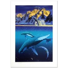 The Humpback's World by Schimmel, William