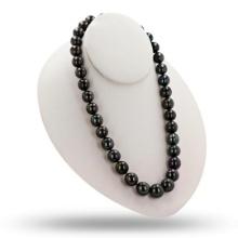 11mm to 14mm Tahitian Pearl 14K White Gold Necklace