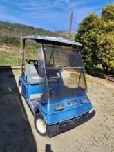 Yamaha Golf Cart @ FARM