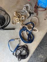 misc ropes and leashes