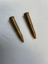 22 hornet ammunition