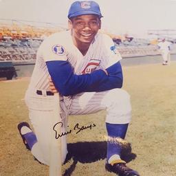 Ernie Banks Signed 8 x 10 photo