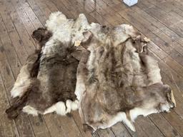 (2) Tanned caribou hides