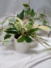 QTY 1 Potted Faux Plant with White and Gray glass pot MSRP: 15.00