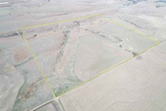 156 Acre +/- Auction in Russell County, Kansas