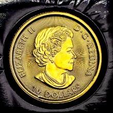 2021 Canada 1/4oz Gold $10 SUPERB GEM BU