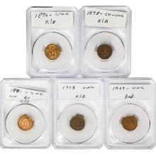 1892-1909 Indian Head Cent Collection [5 Coins]