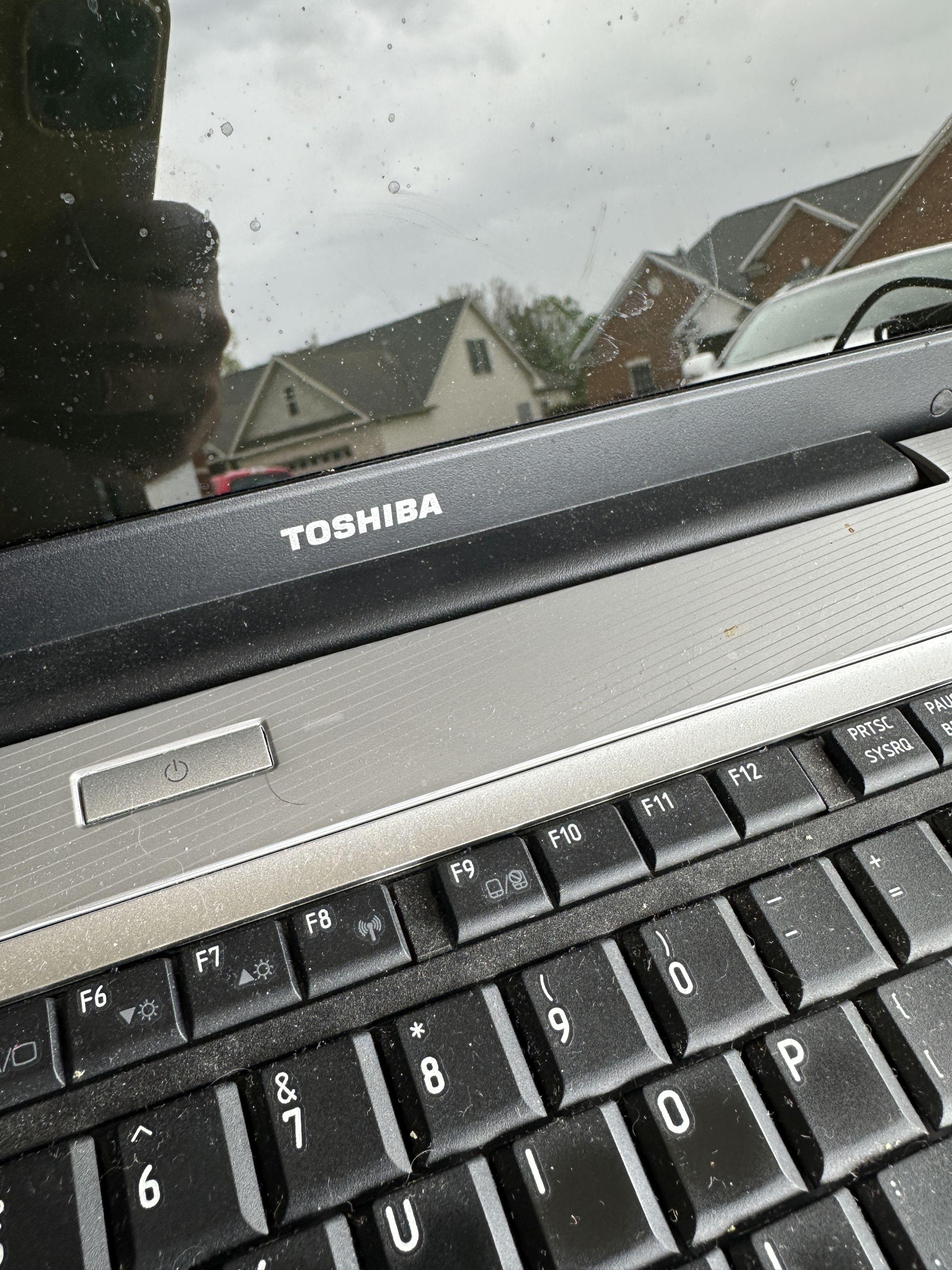 TOSHIBA Satellite L505-ES5015 Laptop with Carry Case