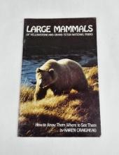 Large Mammals Of Yellowstone & Grand Teton Parks