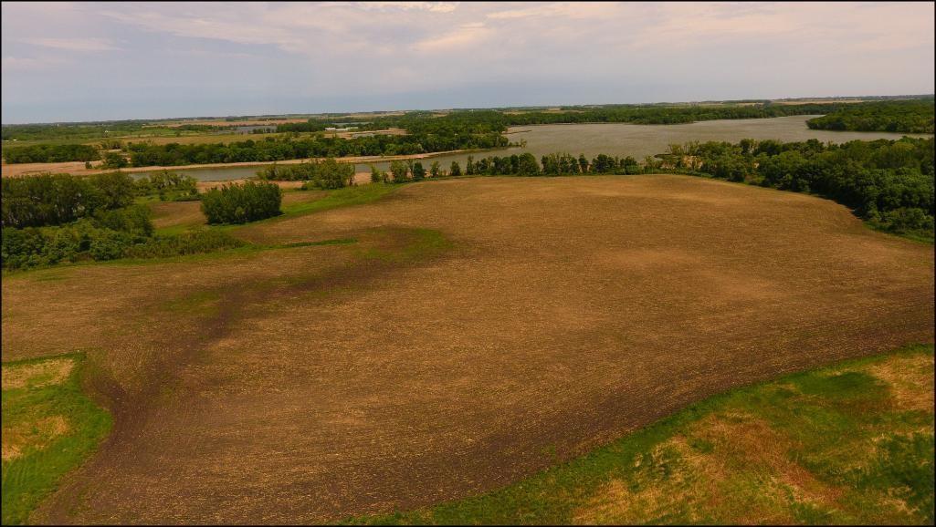 45.7 Acres of Kandiyohi Co. Farm Land located in Section 2, Fahlun Twp