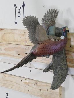 "Crow Springs Collection" by Loon Lake Decoy Company, Inc 503/5000