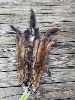 2 super soft Pine Marten furs, and a Fisher cat skin/hide 29 to 40 inches long, great Taxidermy
