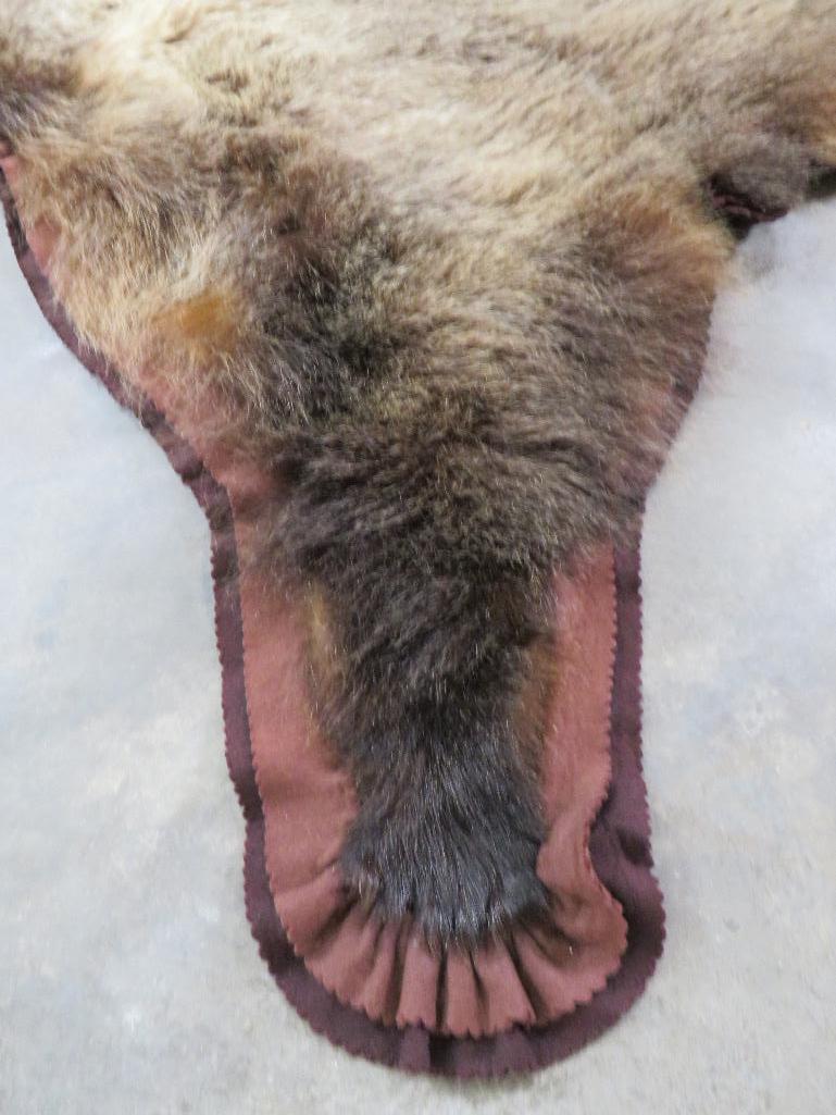 Nice Felted Grizzly Bear Rug w/Mounted Head -No claws TAXIDERMY