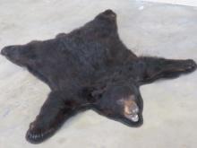 Nice Felted Black Bear Rug w/Mounted Head and All Claws TAXIDERMY