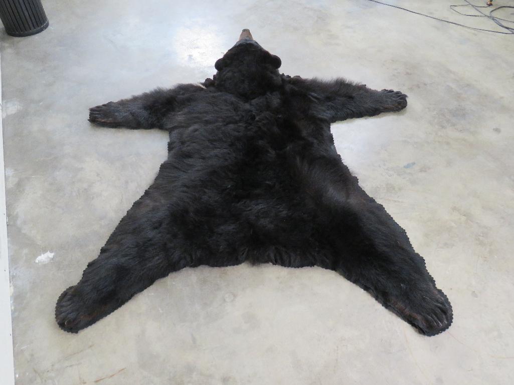 Very Nice /Big Black Bear Felted Rug w/Mounted Head TAXIDERMY