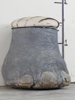 Elephant Foot Stool w/Zebra Hide Cushion TAXIDERMY