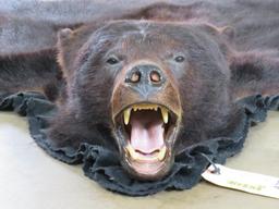 Very Nice Felted Big Black Bear Rug w/All Claws TAXIDERMY