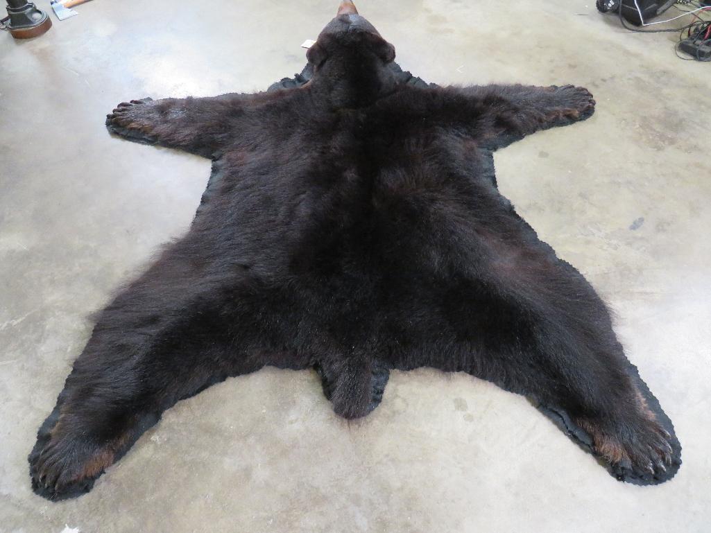 Very Nice Felted Big Black Bear Rug w/All Claws TAXIDERMY